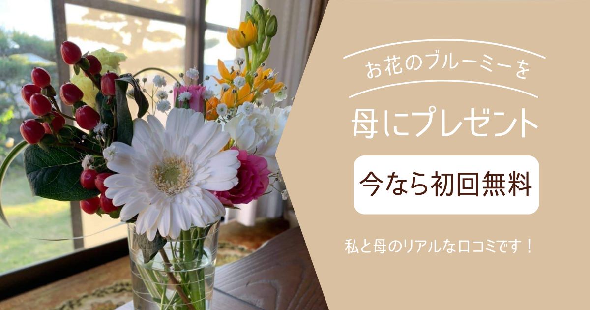 お花の定期便ブルーミーの口コミ 1年半利用した私と母のガチ評価 花びより