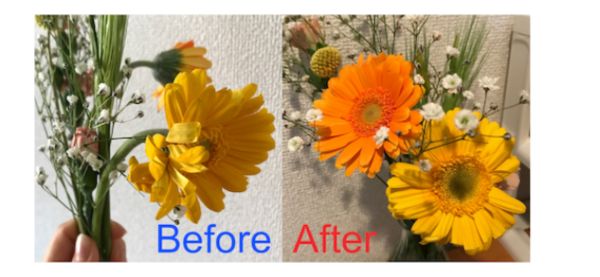 Bloomee before and after